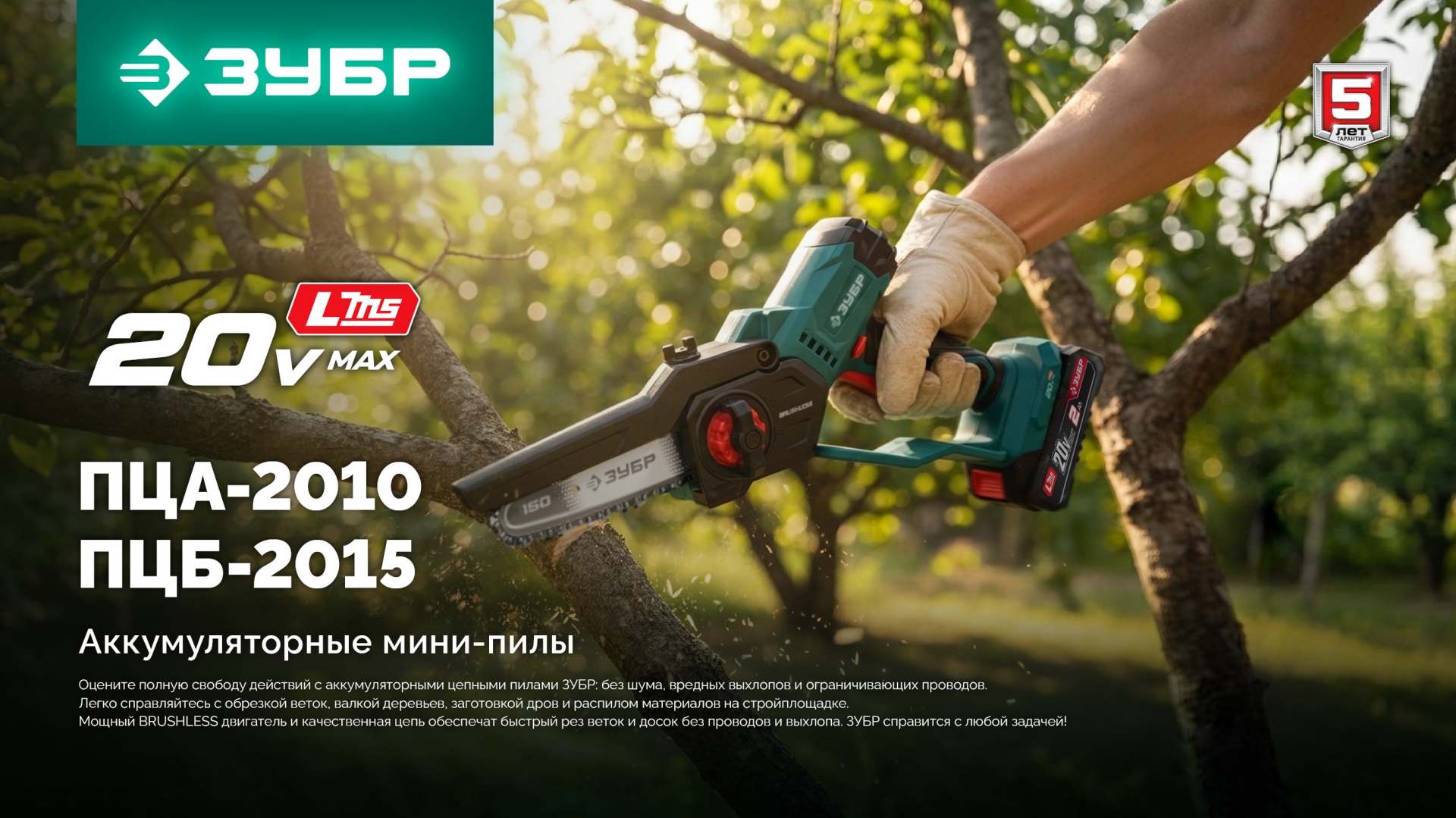 Промоизображение ПЦБ-2015