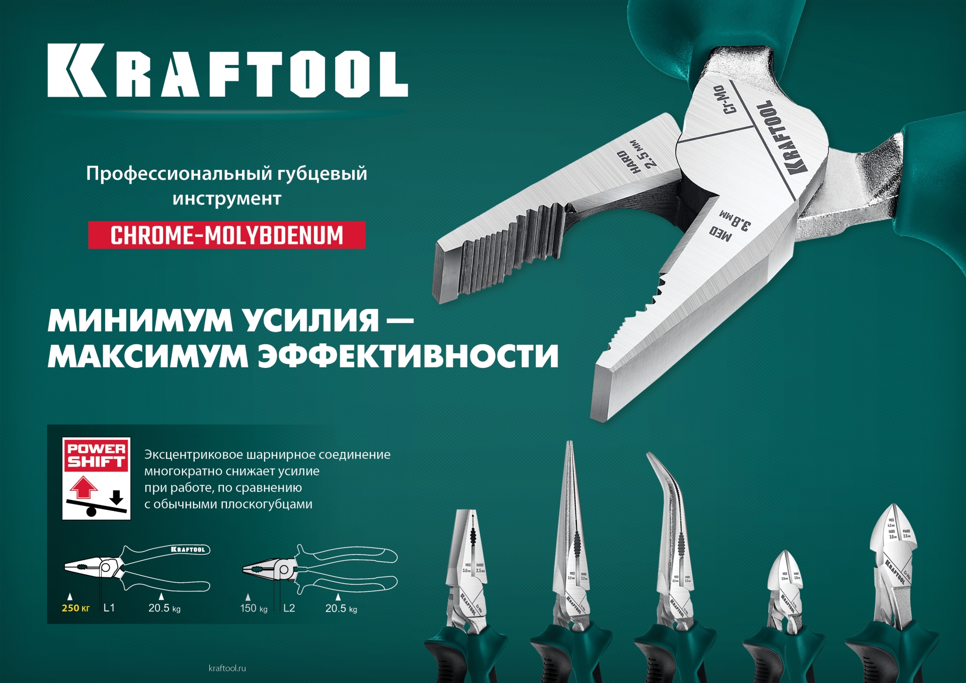 Промоизображение 22011-1-16_z01