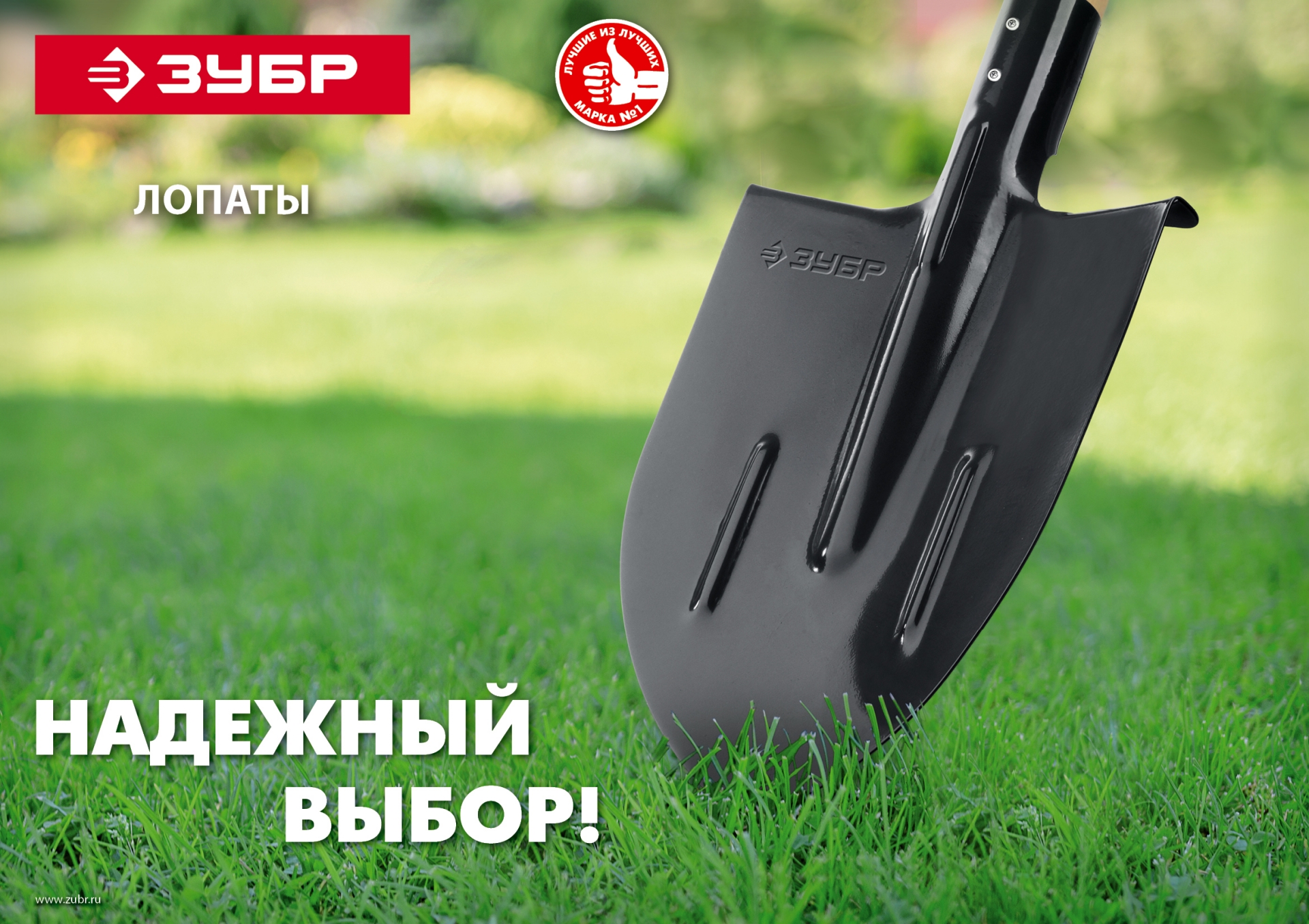 Промоизображение 39428