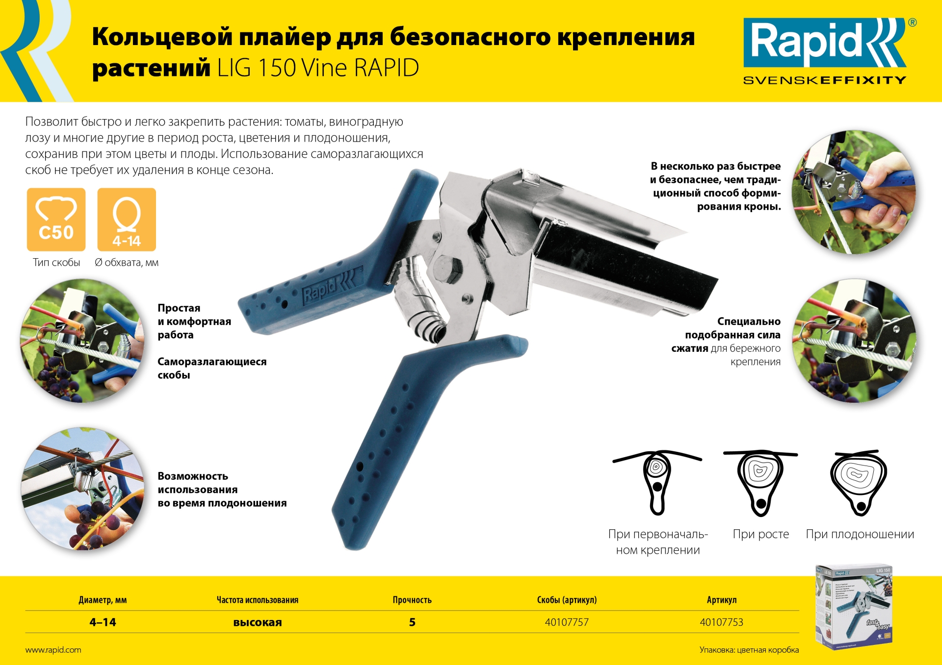 Промоизображение 40107753