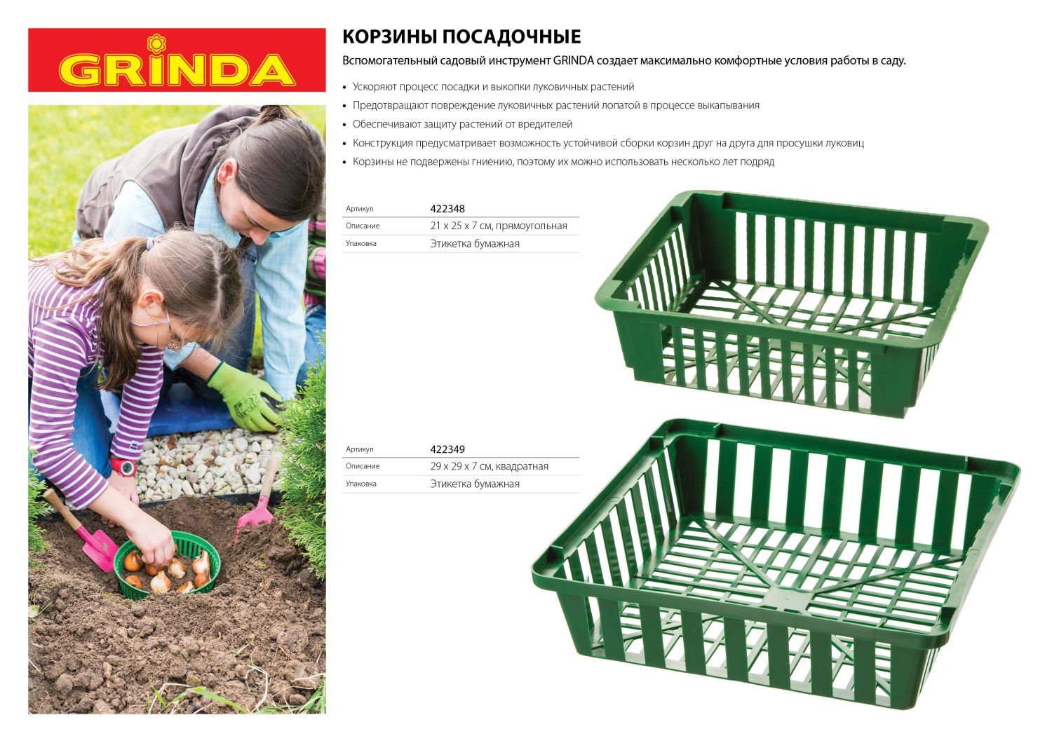 Промоизображение 422349