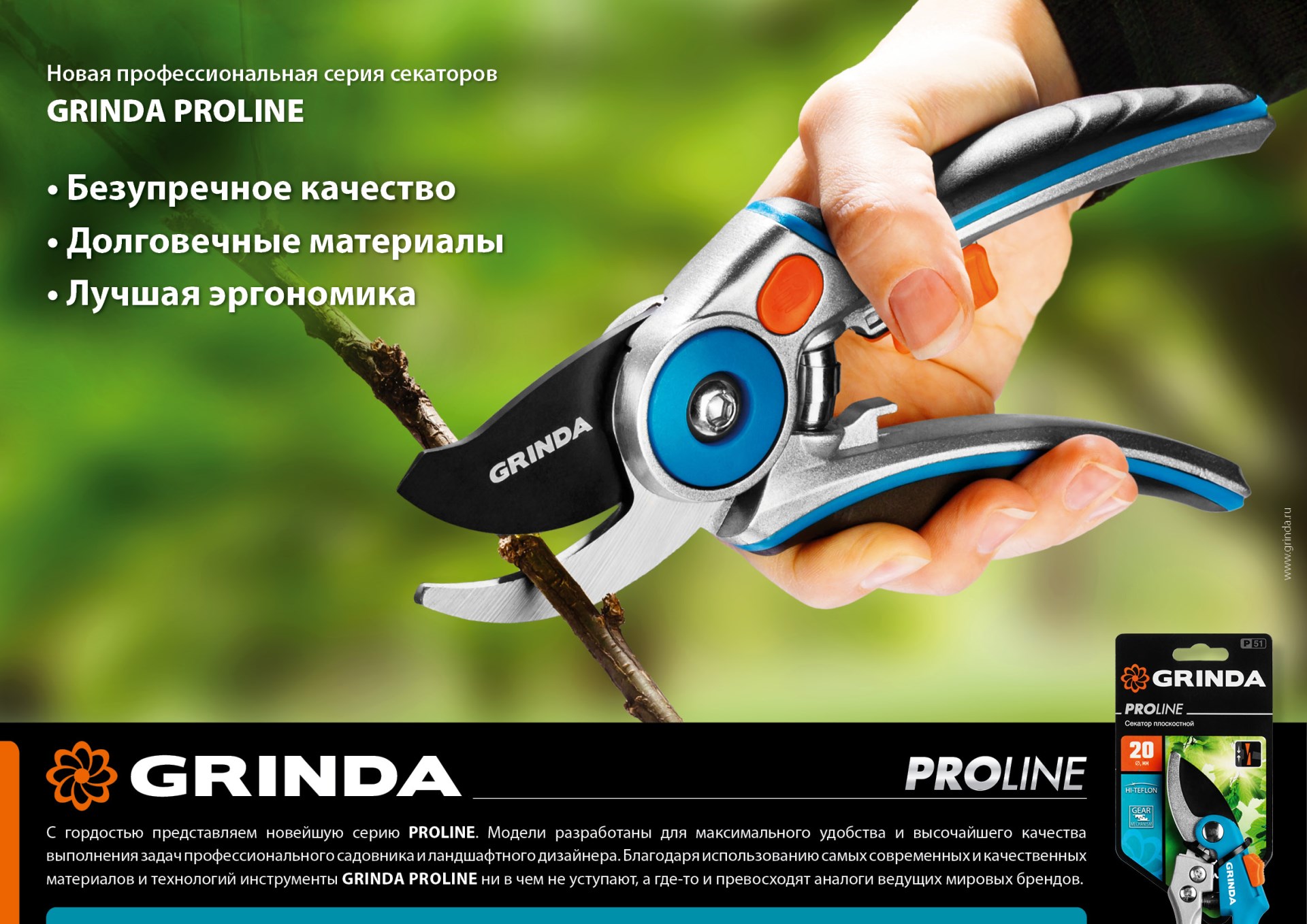 Промоизображение 423410