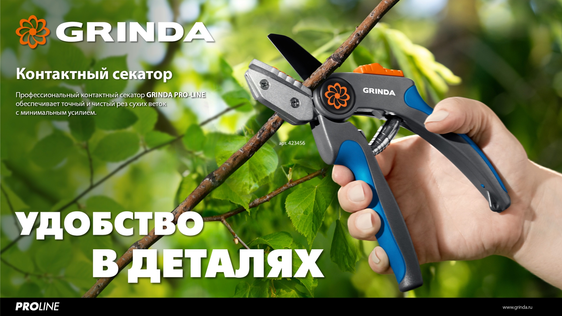 Промоизображение 423456