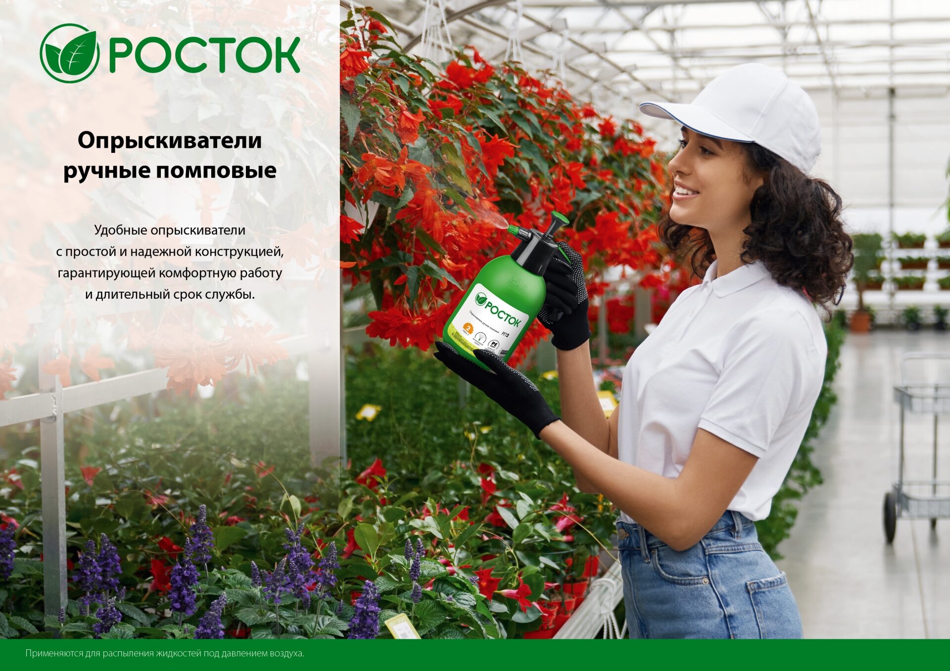 Промоизображение 425073