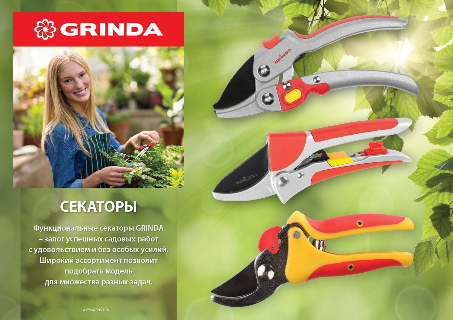 Промоизображение 8-423031_z01