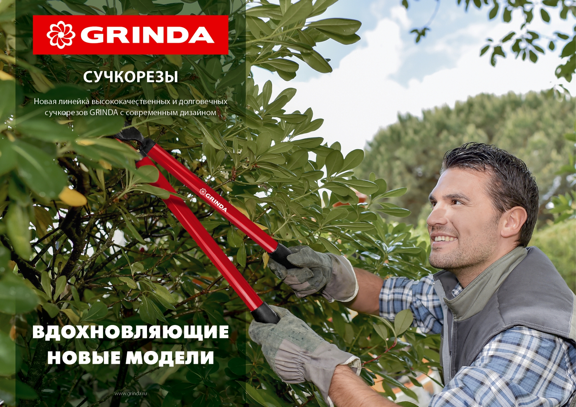 Промоизображение 8-424431_z02