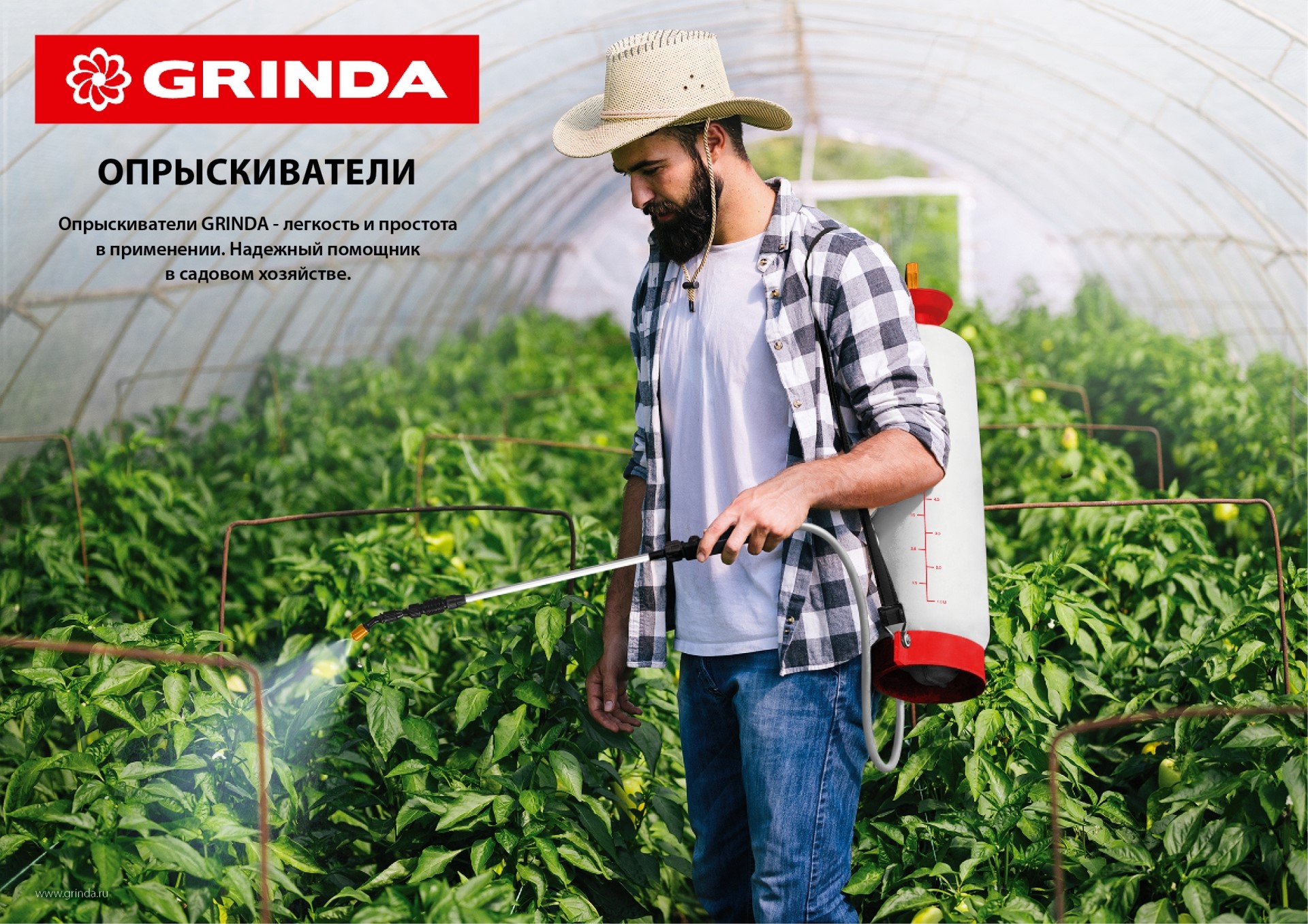 Промоизображение 8-425012_z02